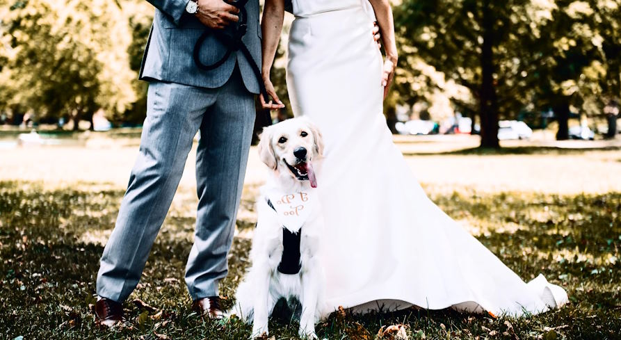 pet in the ceremony